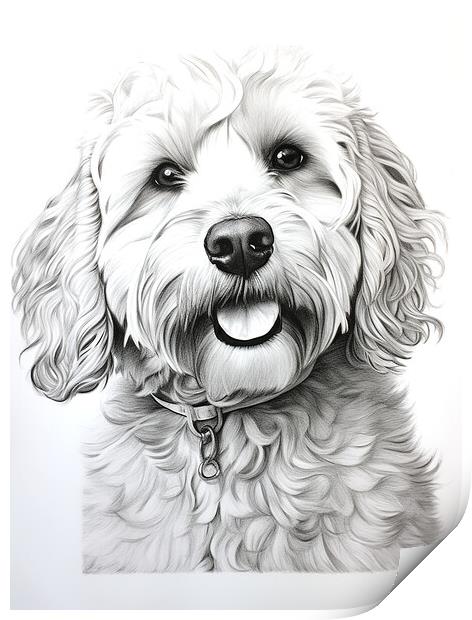 Pencil Drawing Labradoodle Print by Steve Smith