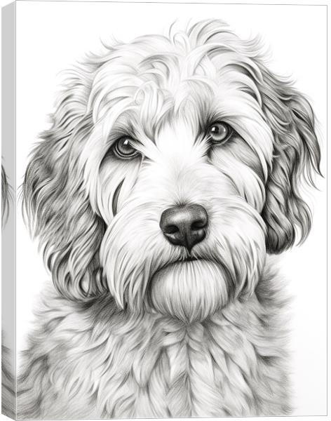 Pencil Drawing Labradoodle Canvas Print by Steve Smith