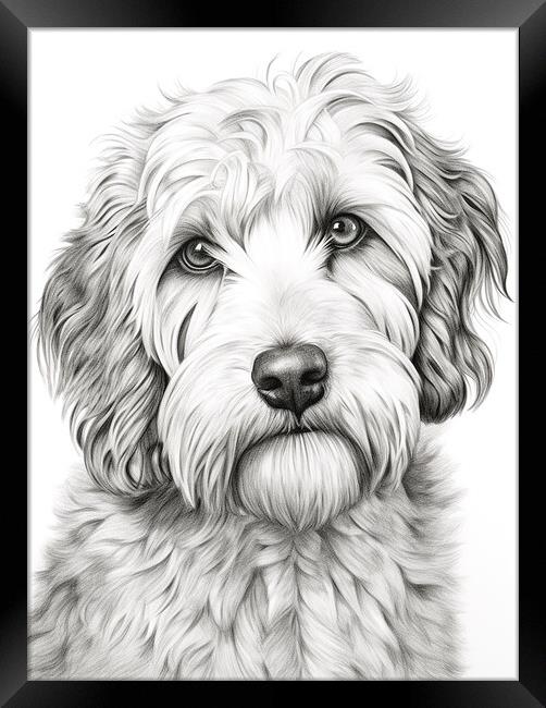 Pencil Drawing Labradoodle Framed Print by Steve Smith