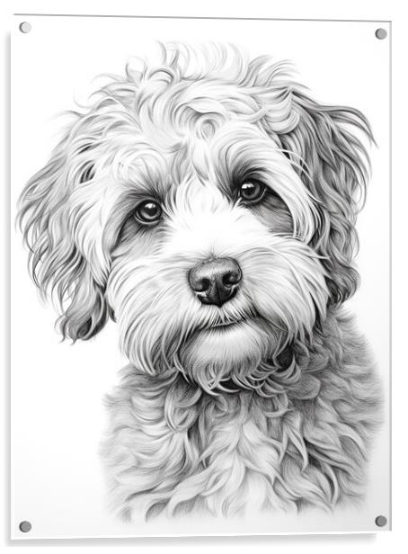 Pencil Drawing Labradoodle Acrylic by Steve Smith