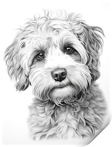 Pencil Drawing Labradoodle Print by Steve Smith