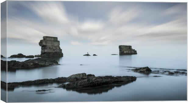 Kirkcaldy Sea Wall  Canvas Print by Anthony McGeever