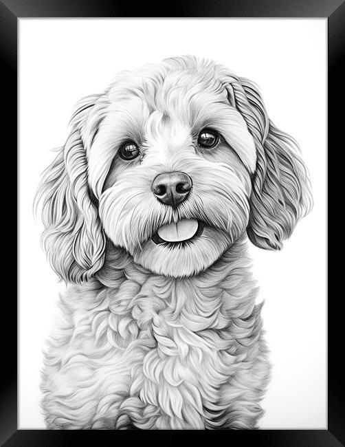 Pencil Drawing Cavapoo Framed Print by Steve Smith