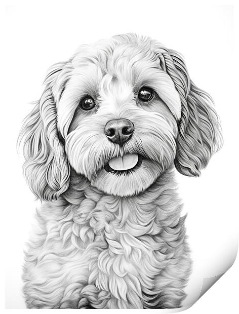 Pencil Drawing Cavapoo Print by Steve Smith