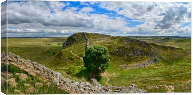 Stunning Sycamore Gap and Hadrian's Wall Panorama  Canvas Print by Tracey Turner