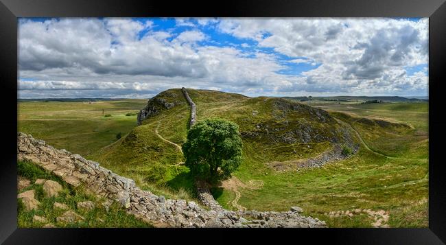 Stunning Sycamore Gap and Hadrian's Wall Panorama  Framed Print by Tracey Turner
