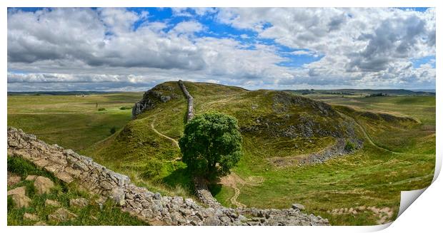 Stunning Sycamore Gap and Hadrian's Wall Panorama  Print by Tracey Turner