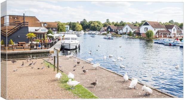 Birds on the edge of the River Bure Canvas Print by Jason Wells