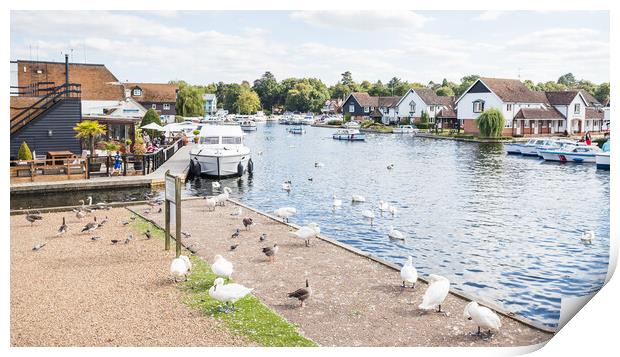Birds on the edge of the River Bure Print by Jason Wells