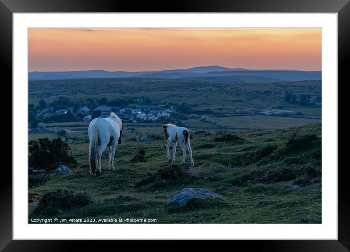 Mother and foal on Bodmin more looking towards brown willy  Framed Mounted Print by Jim Peters