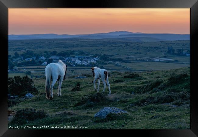 Mother and foal on Bodmin more looking towards brown willy  Framed Print by Jim Peters