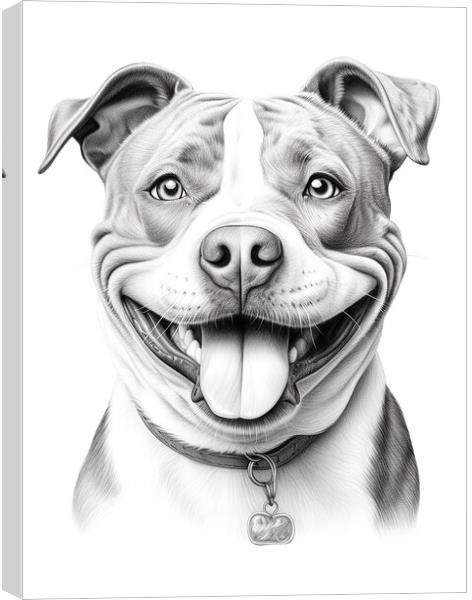 Pencil Drawing Staffordshire Bull Terrier Canvas Print by Steve Smith