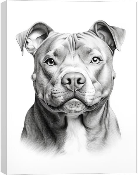 Pencil Drawing Staffordshire Bull Terrier Canvas Print by Steve Smith