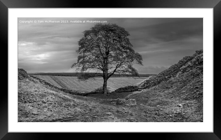 Sycamore Gap Framed Mounted Print by Tom McPherson
