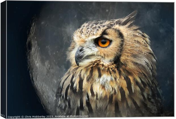 Eagle owl Canvas Print by Chris Mobberley