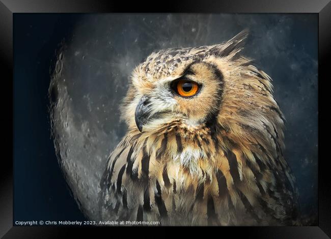 Eagle owl Framed Print by Chris Mobberley