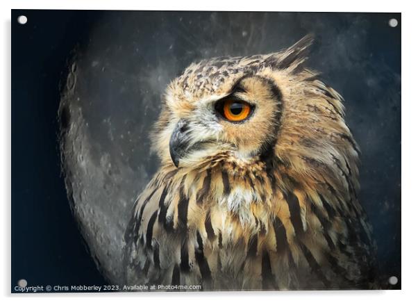 Eagle owl Acrylic by Chris Mobberley