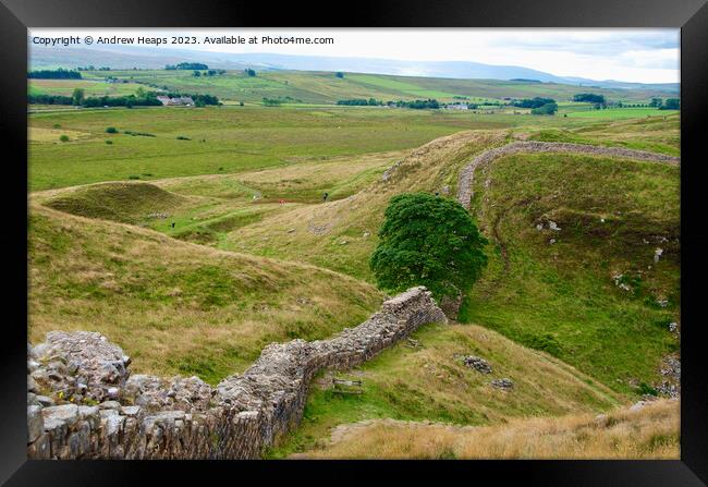 Sycamore Gap (Hadrians wall) Framed Print by Andrew Heaps