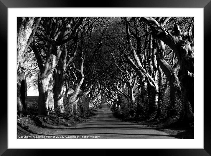 Dark Hedges in black and white Framed Mounted Print by Steven Vacher