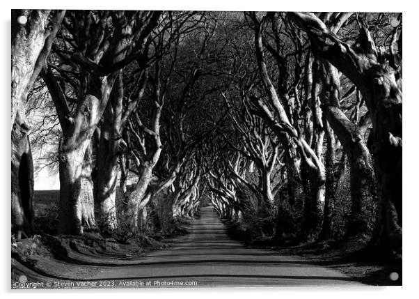 Dark Hedges in black and white Acrylic by Steven Vacher