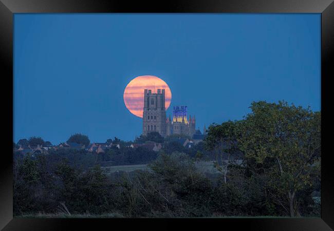 Harvest Moon rising behind Ely Cathedral, 29th September 2023 Framed Print by Andrew Sharpe