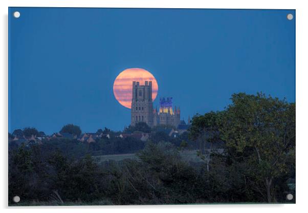 Harvest Moon rising behind Ely Cathedral, 29th September 2023 Acrylic by Andrew Sharpe