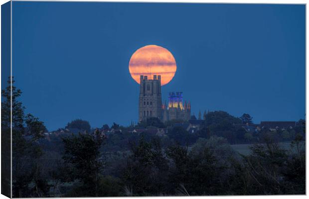 Harvest Moon rising behind Ely Cathedral, 29th September 2023 Canvas Print by Andrew Sharpe