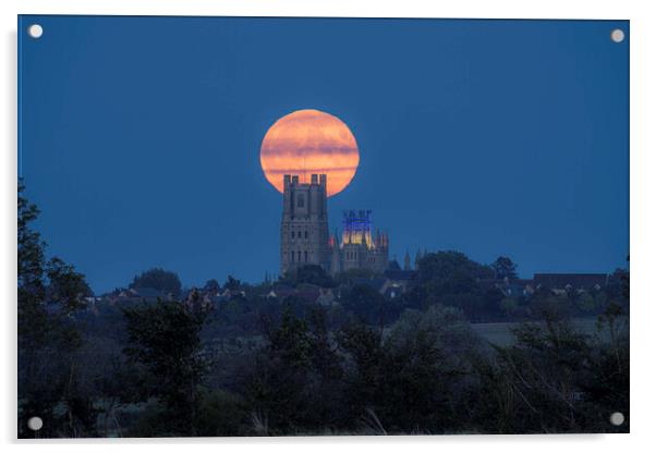 Harvest Moon rising behind Ely Cathedral, 29th September 2023 Acrylic by Andrew Sharpe