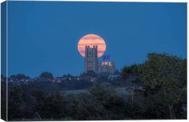 Harvest Moon rising behind Ely Cathedral, 29th September 2023 Canvas Print by Andrew Sharpe