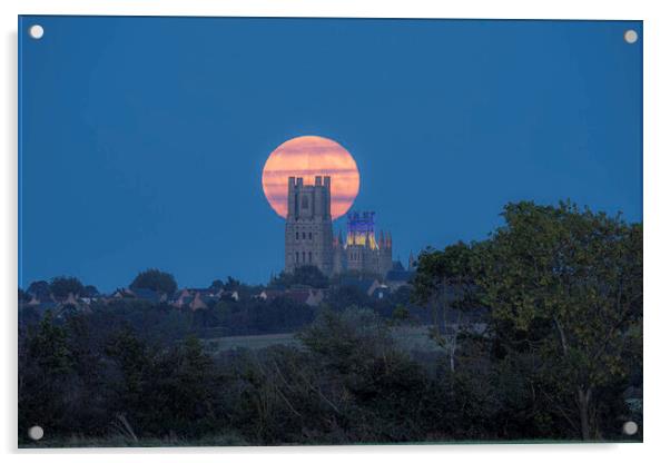 Harvest Moon rising behind Ely Cathedral, 29th September 2023 Acrylic by Andrew Sharpe