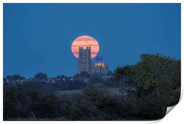 Harvest Moon rising behind Ely Cathedral, 29th September 2023 Print by Andrew Sharpe