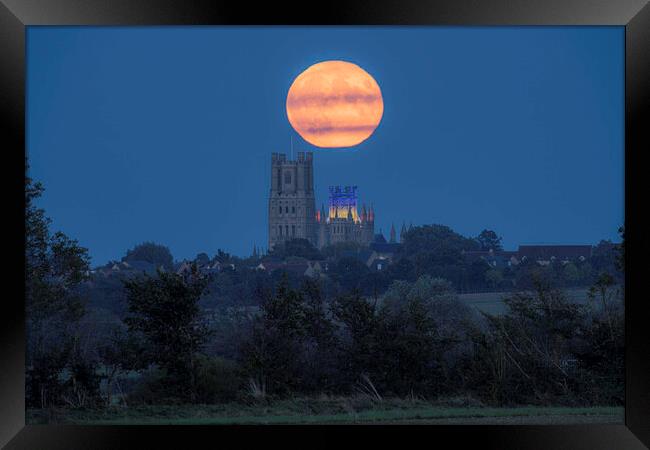 Harvest Moon rising behind Ely Cathedral, 29th September 2023 Framed Print by Andrew Sharpe