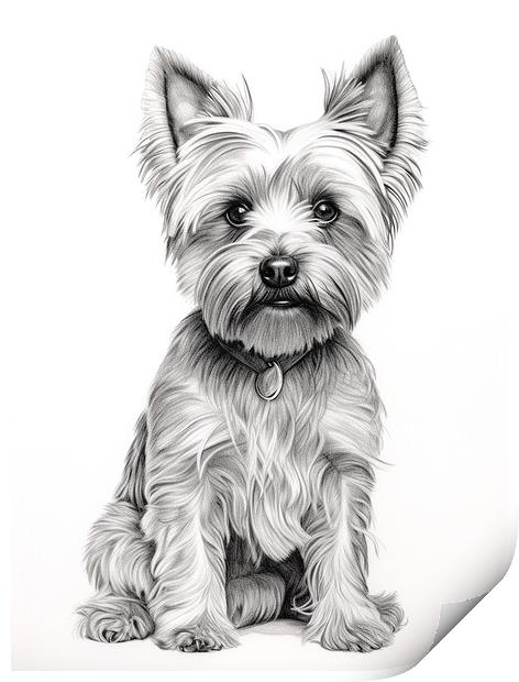 Pencil Drawing Yorkshire Terrier Print by Steve Smith