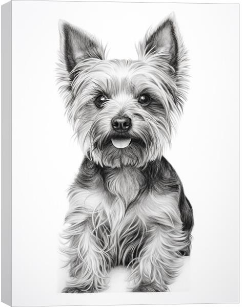 Pencil Drawing Yorkshire Terrier Canvas Print by Steve Smith