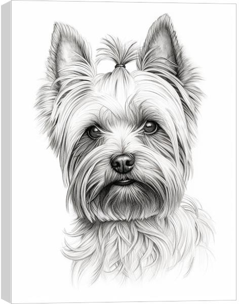 Pencil Drawing Yorkshire Terrier Canvas Print by Steve Smith