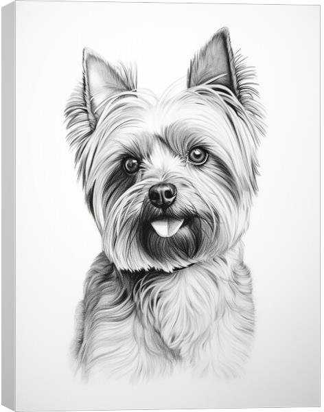 Pencil Drawing Yorkshire Terrier Canvas Print by Steve Smith