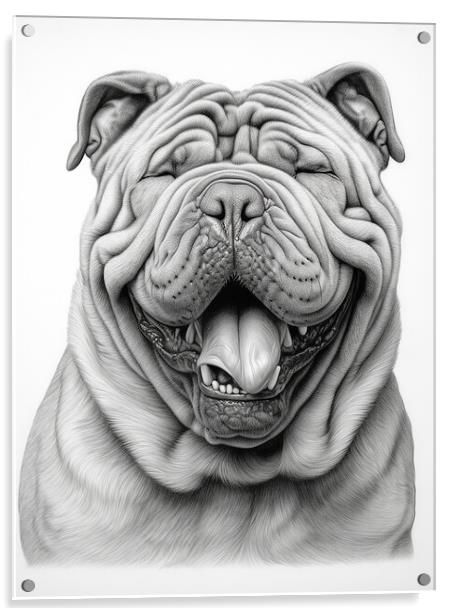 Pencil Drawing Shar Pei Acrylic by Steve Smith