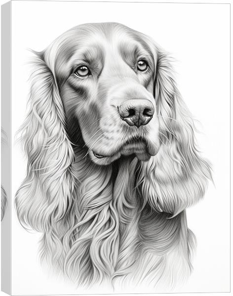 Pencil Drawing Irish Setter Canvas Print by Steve Smith