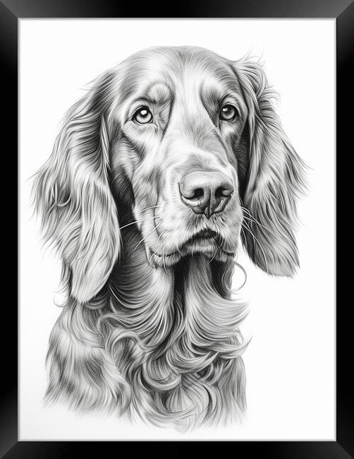 Pencil Drawing Irish Setter Framed Print by Steve Smith