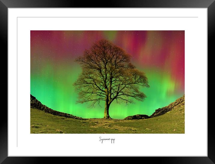 Sycamore  gap tree aurora  Framed Mounted Print by JC studios LRPS ARPS