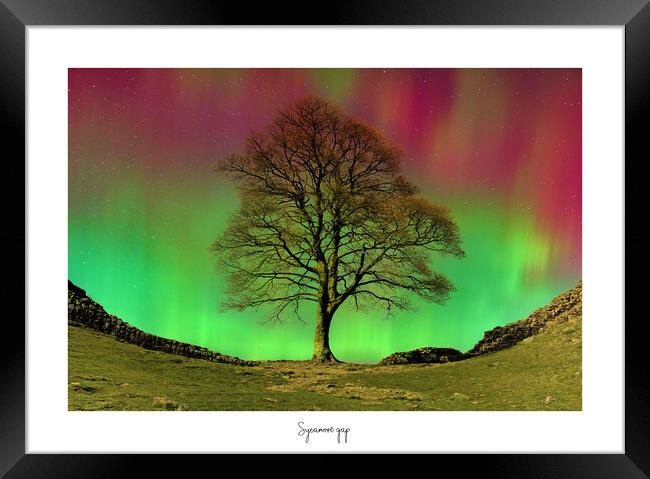 Sycamore  gap tree aurora  Framed Print by JC studios LRPS ARPS