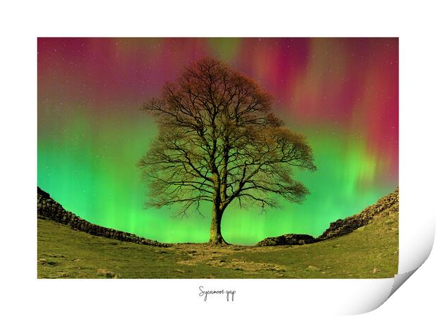 Sycamore  gap tree aurora  Print by JC studios LRPS ARPS