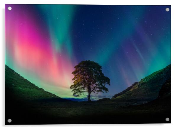 Sycamore Gap Aurora Acrylic by Picture Wizard