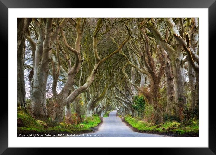The Dark Hedges  Framed Mounted Print by Brian Fullerton