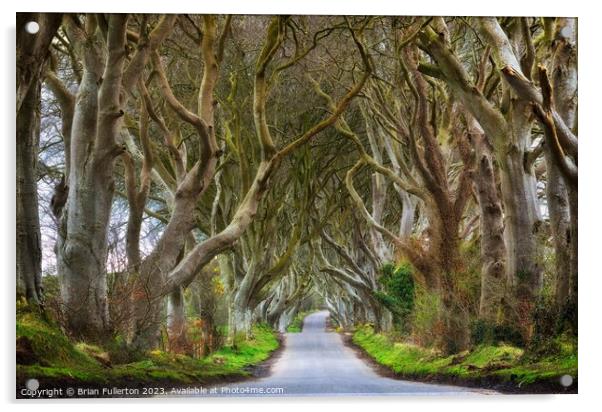 The Dark Hedges  Acrylic by Brian Fullerton