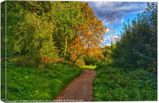 Highfields Colour Shines. Canvas Print by 28sw photography