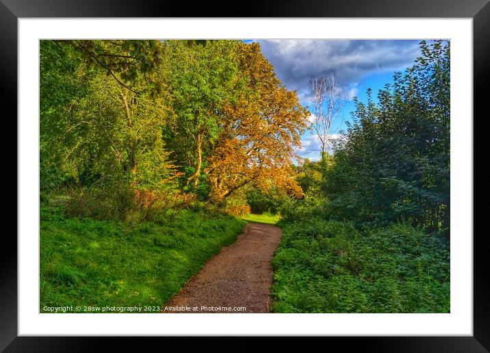 Highfields Colour Shines. Framed Mounted Print by 28sw photography