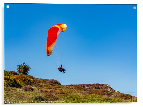 Views around Conwy Mountain and some paragliders Acrylic by Gail Johnson