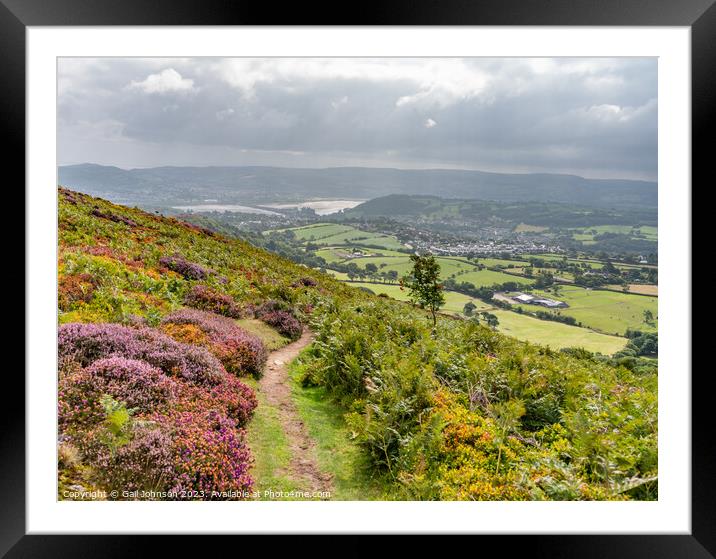 Views around Conwy Mountain with the heather out Framed Mounted Print by Gail Johnson