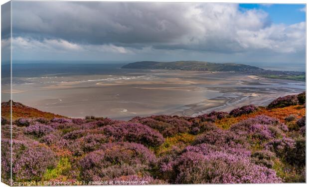 Views around Conwy Mountain with the heather out Canvas Print by Gail Johnson